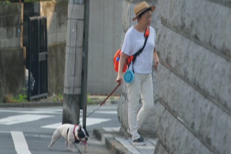 安藤優子アナの愛犬散歩姿、暑すぎて5分で帰宅→何でこの人激写されてんの？